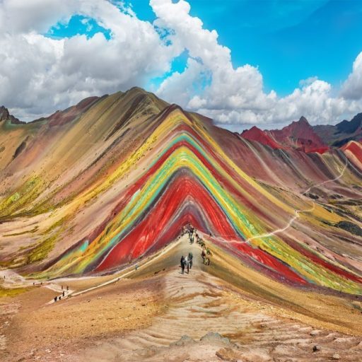 7 COLORES