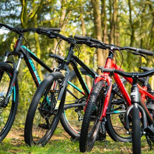 BICI