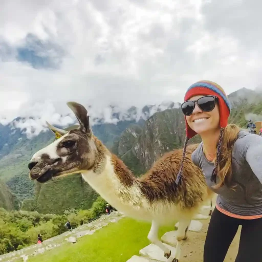 LLAMA