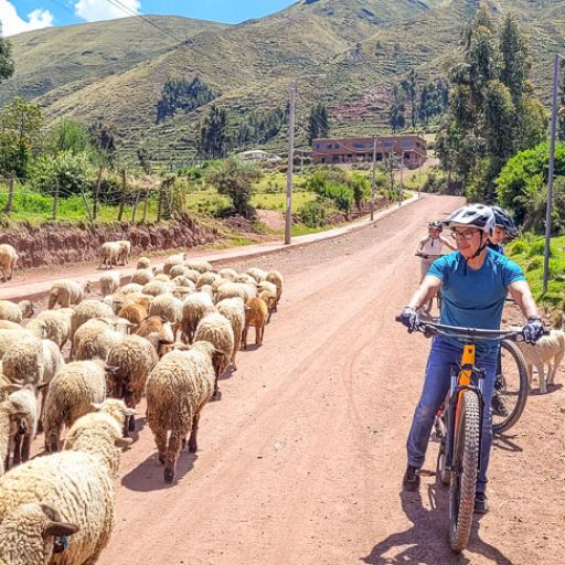 TOUR BICICLETA 2