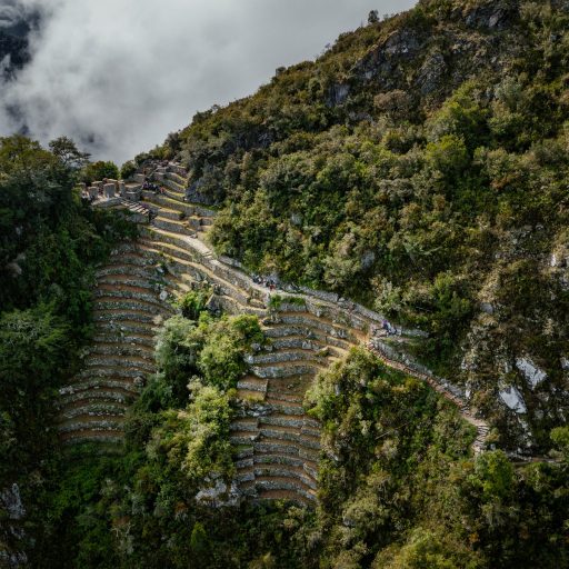 mapi1