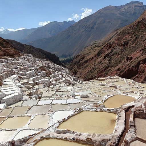 maras1