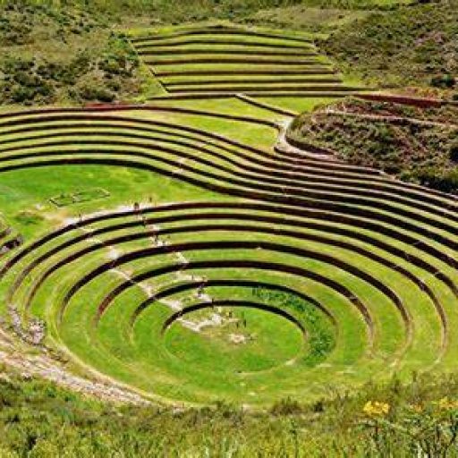 moray 1